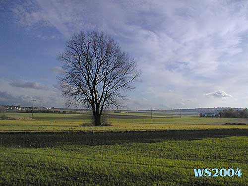 MG1: Abbildung 3: Original fertig bearbeitet und unscharf maskiert